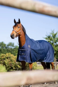 Avalanche Regendecke, 0g