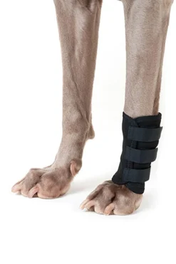 Bandage für Hunde (1 Stück)