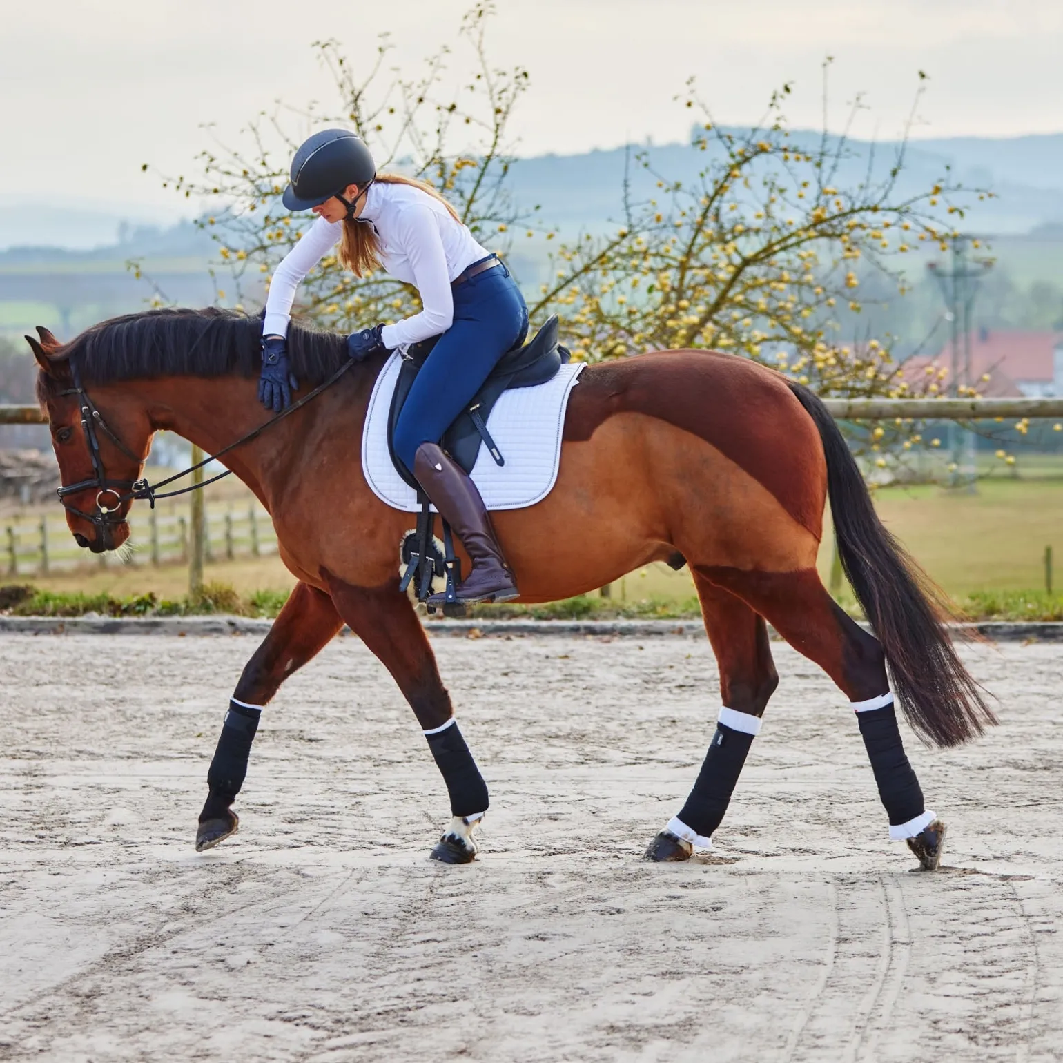 Bandagierunterlagen, hinten