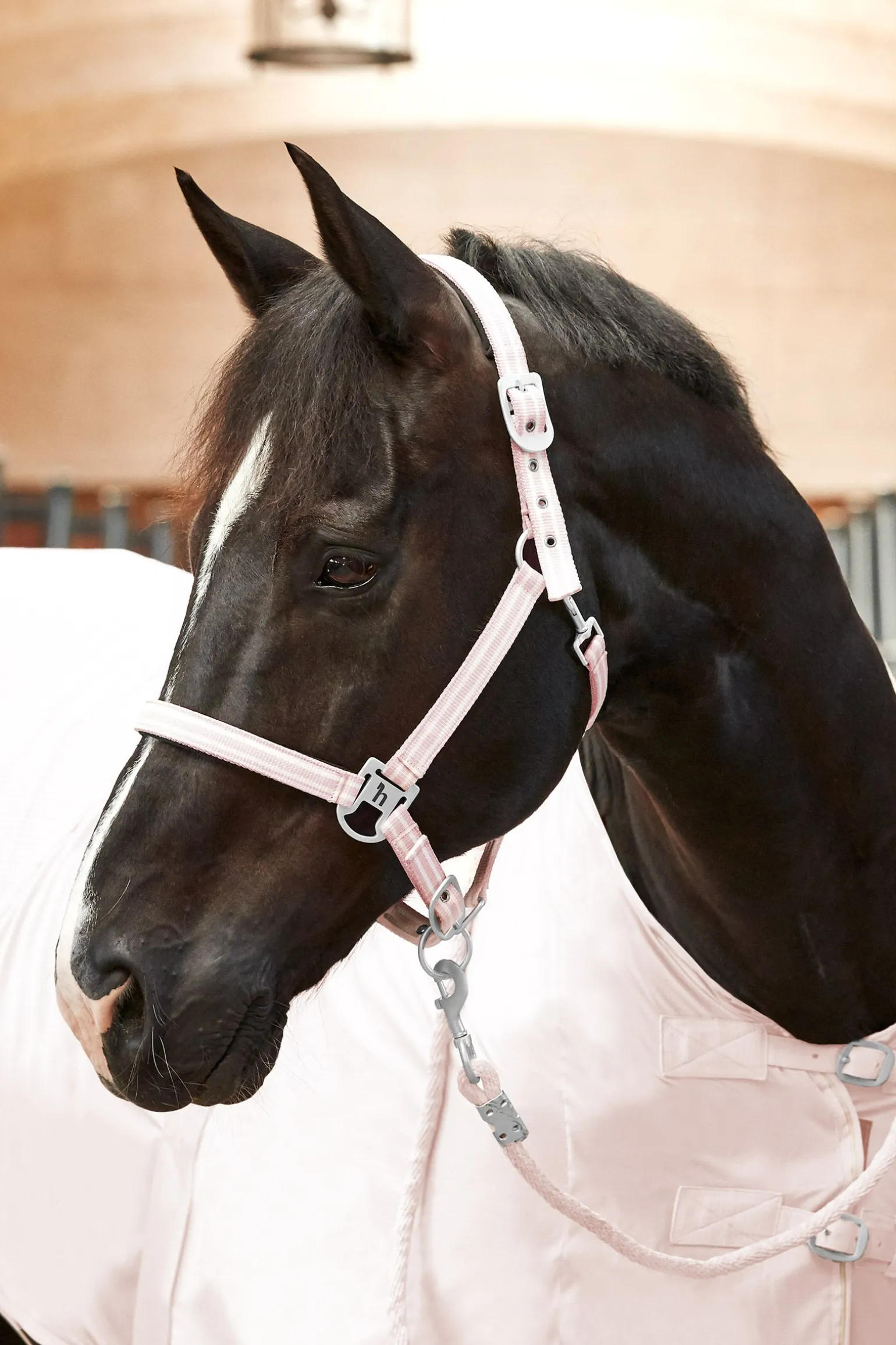 Bari Halfter & Führstrick Set