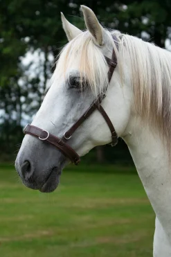 Baro Kappzaum, Leder