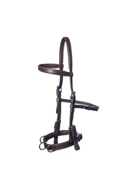 Baro Kappzaum, Leder (Shire)