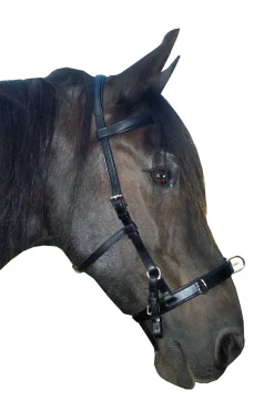 Baro Kappzaum, Leder (Shire)