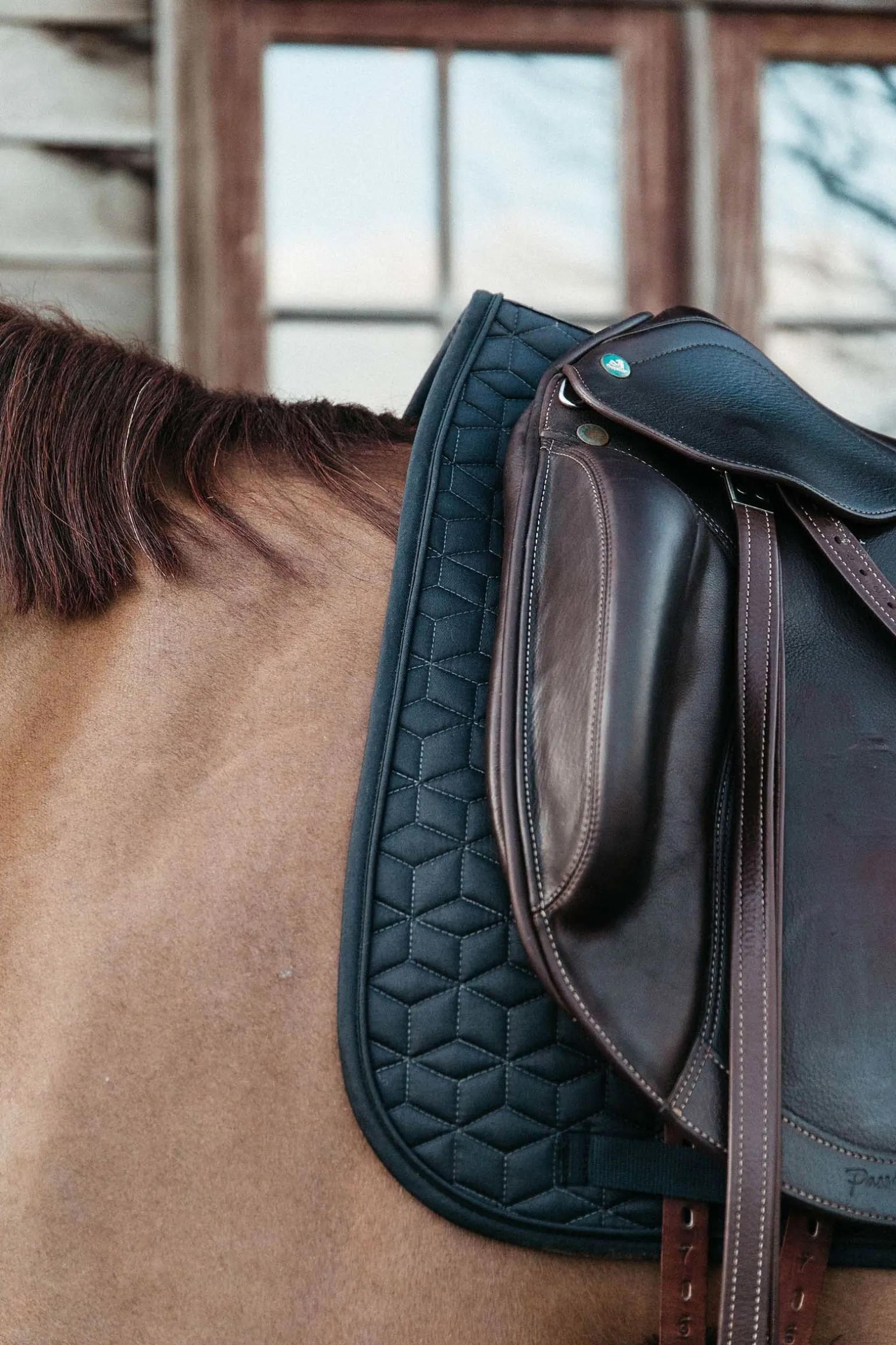 Basic Dressurschabracke