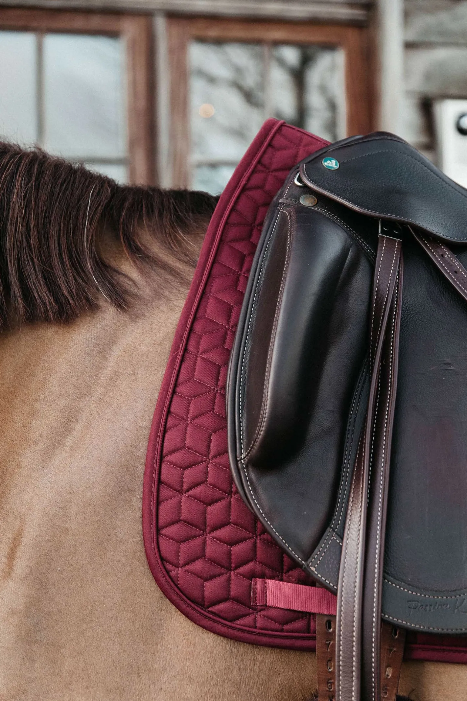 Basic Dressurschabracke