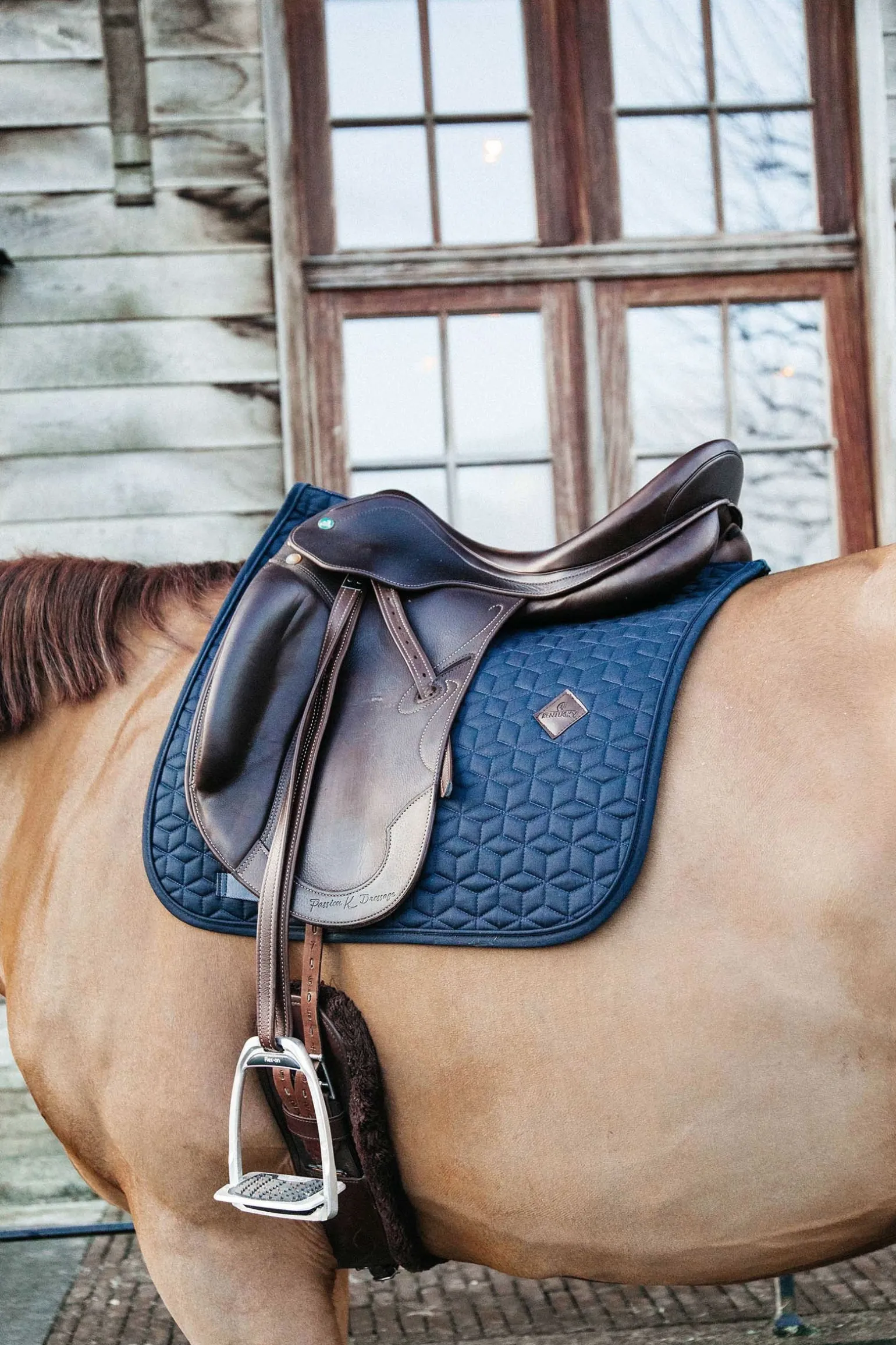 Basic Dressurschabracke