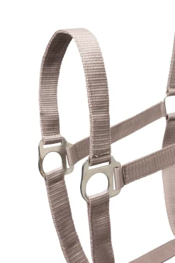 Basic Halfter & Führstrick mit Panikhaken