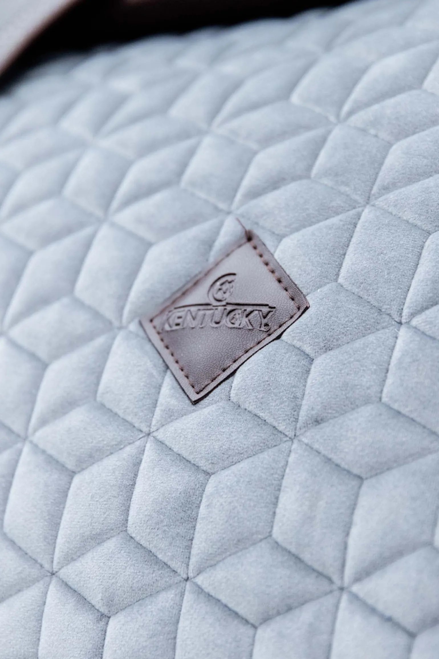 Basic Velvet Dressurschabracke