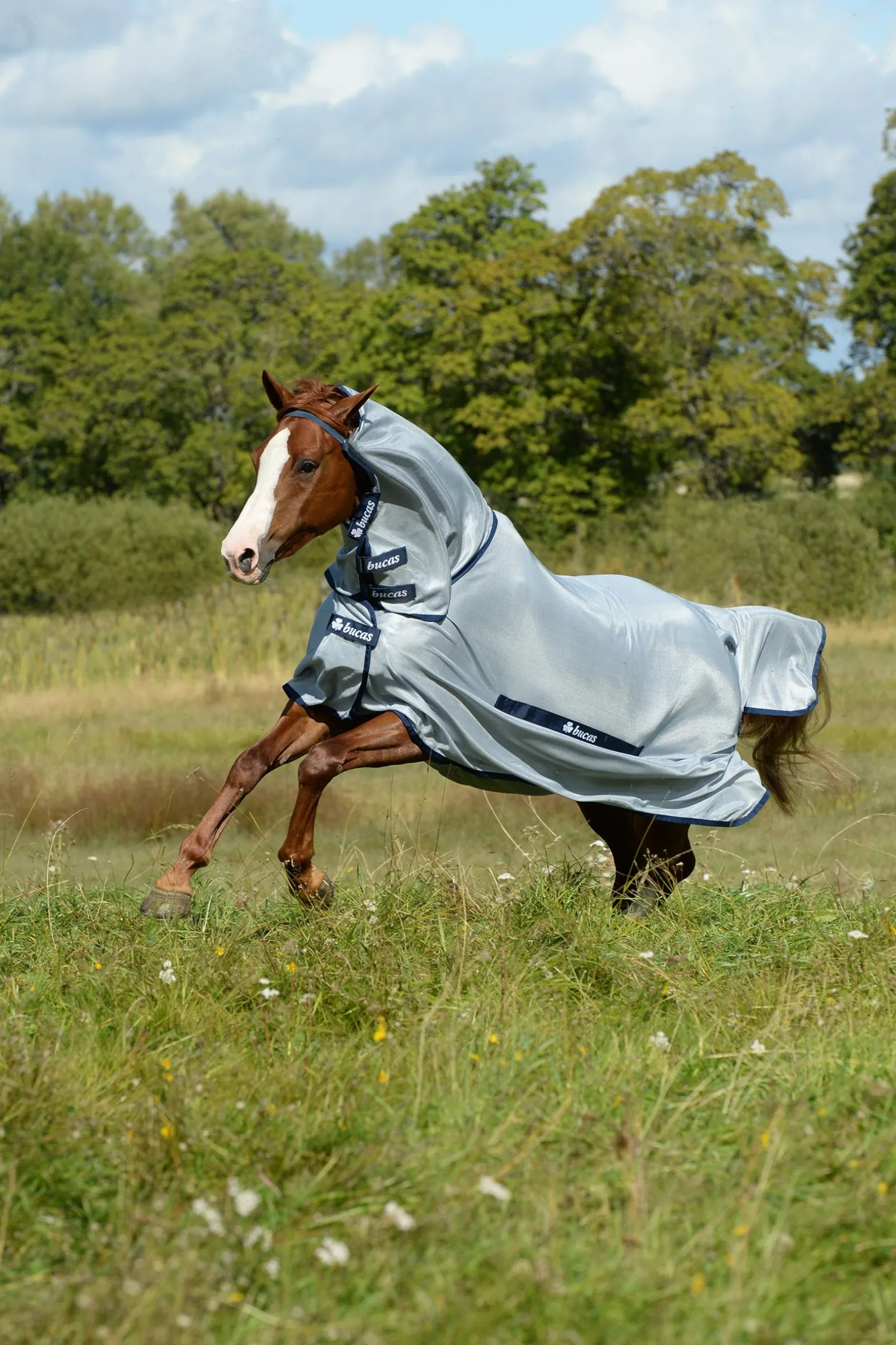 Buzz-Off Full Neck Fliegendecke Pony mit festem Halsteil