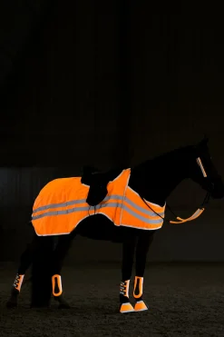 bZeen reflektierende Ausreitdecke