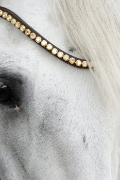 Caliano Englische Trense