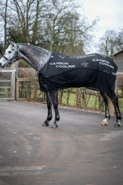 Carbon Abschwitzdecke