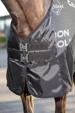 Carbon Abschwitzdecke