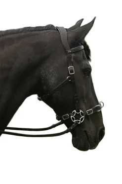 Caval Compl. Cavemore Trense (Syst.2) w/ Scissors & Reins