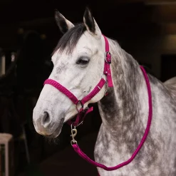 Chicago Halfter- & Führstrick-Set