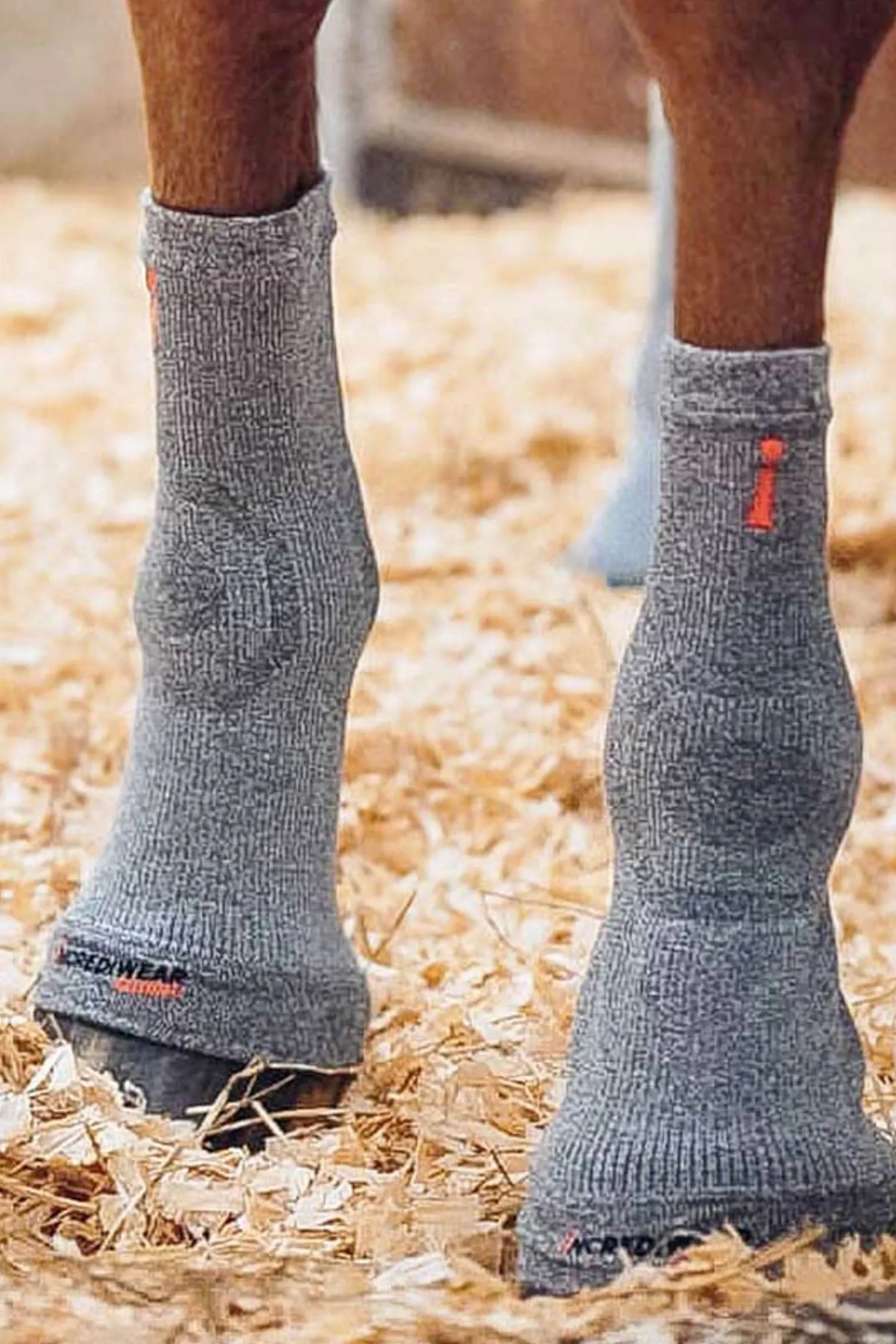Circulation Hoof Socks