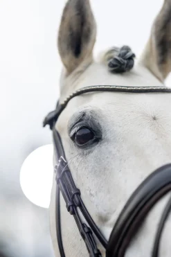 Classic Dressurtrense