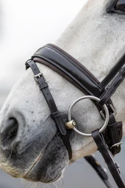 Classic Dressurtrense
