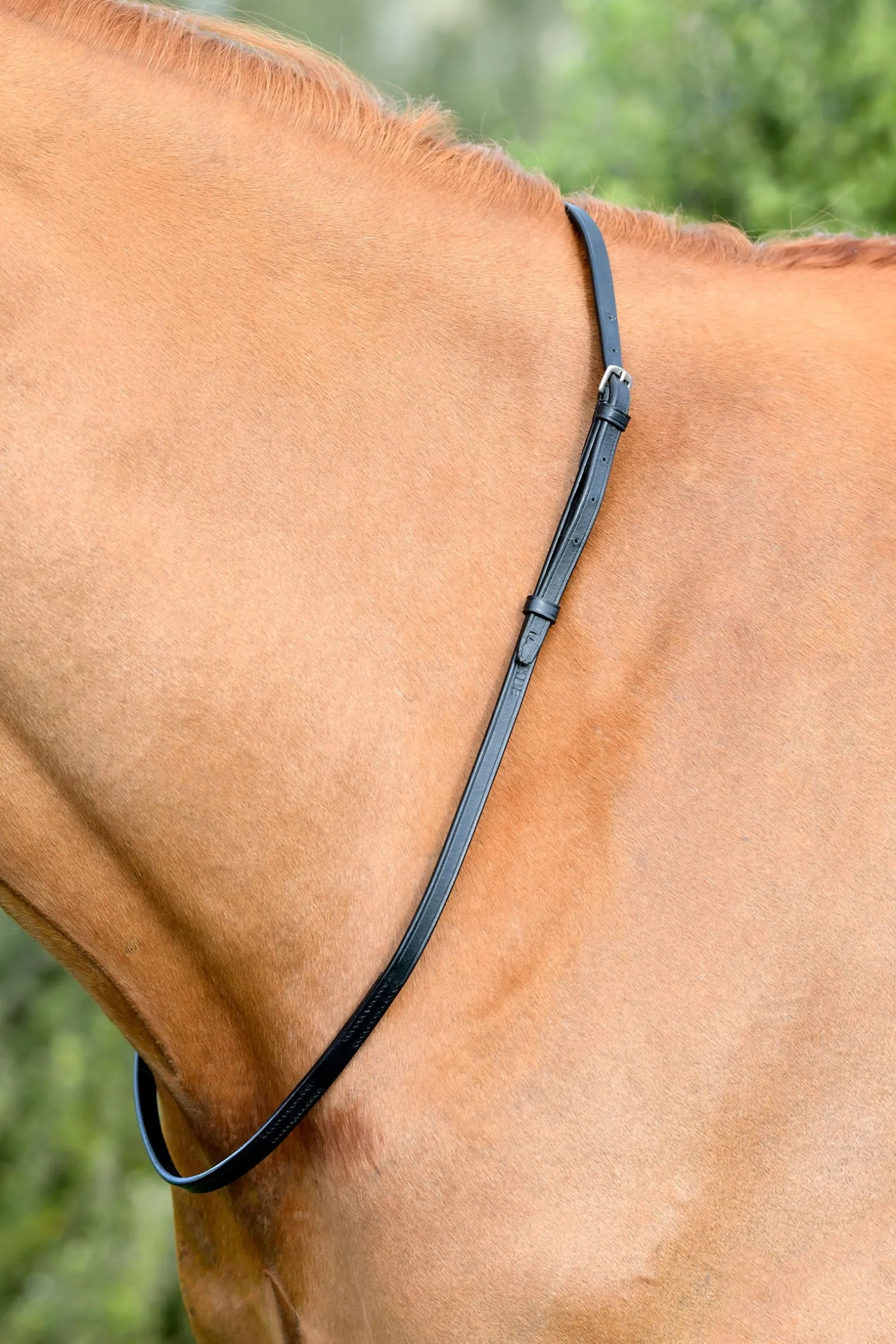 Classic Lederhalsriemen