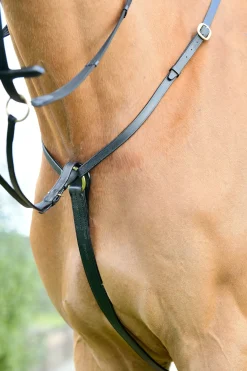 Classic 3-Punkt Vorderzeug mit laufendem Martingal