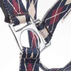 Classic Raute Halfter