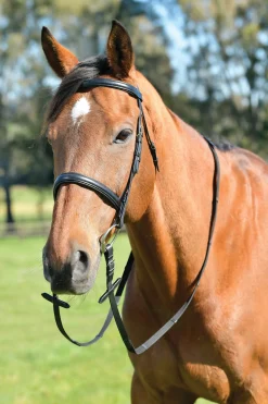 Classic schlichte Trense mit englischem Reithalfter und Zügeln