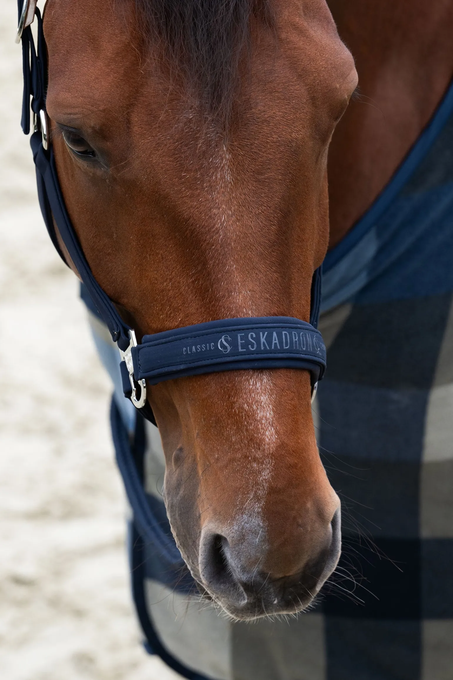 Classic Sports SS25 Softshell Double Pin Halfter