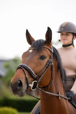 Clermont Anatomische Trense