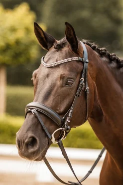 Columbia Stirnriemen mit Kristallen