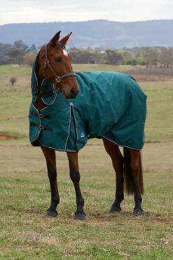 ComFiTec Classic Turnout Combo Neck 360G