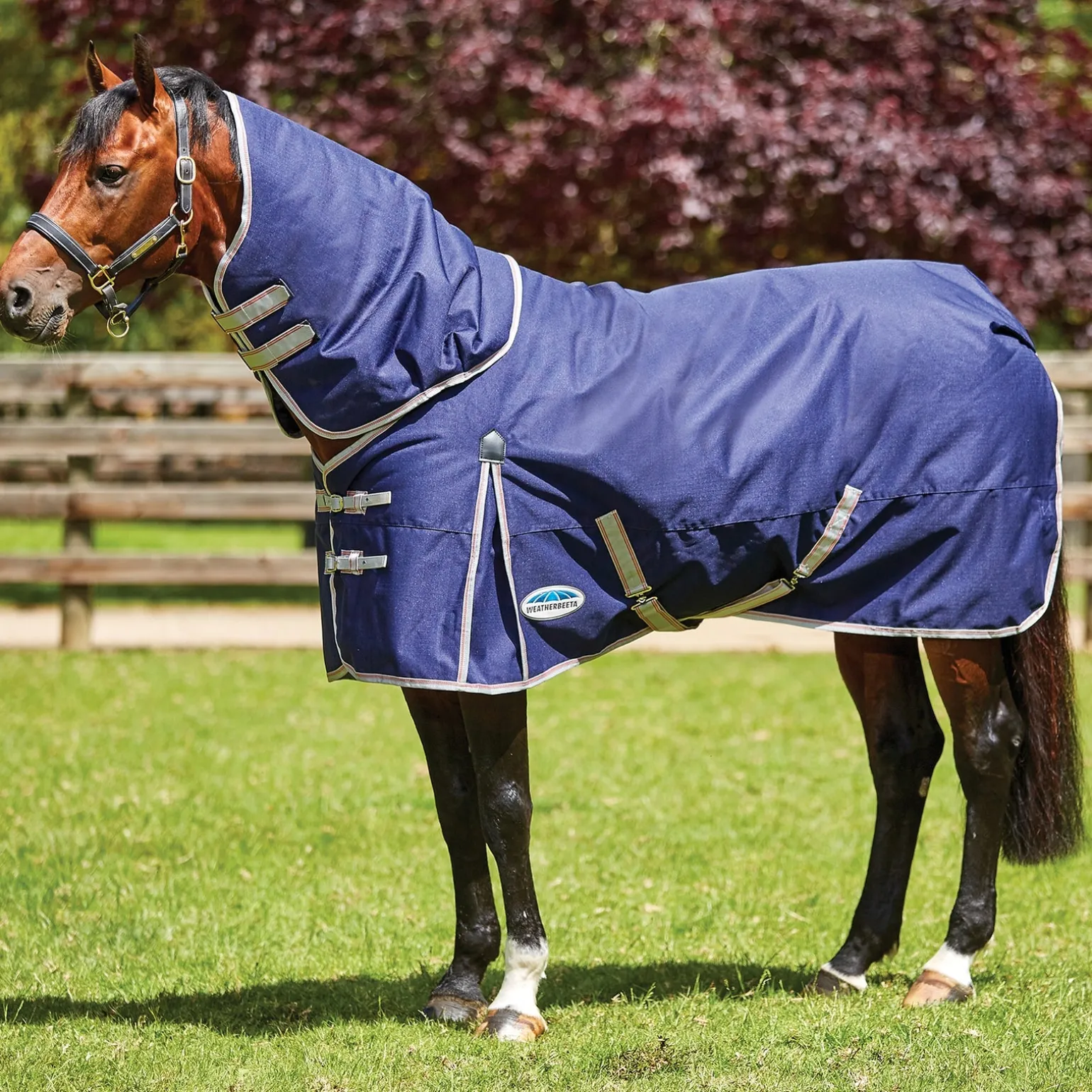 Comfitec Essential Weidedecke inkl. abnehmbarem Halsteil, 50g