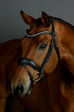 Comfitec Opulux gepolsterte Dressurtrense