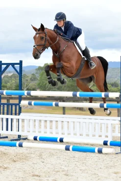 Comfitec Opulux schlichte gepolsterte Trense mit mexikanischem Reithalfter