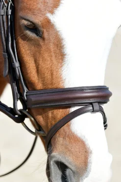 Comfitec Opulux schlichte, gepolsterte Trense mit kombiniertem hannoverschem Reithalfter