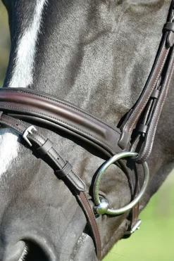 Comfitec Opulux schlichte, gepolsterte Trense mit kombiniertem hannoverschem Reithalfter