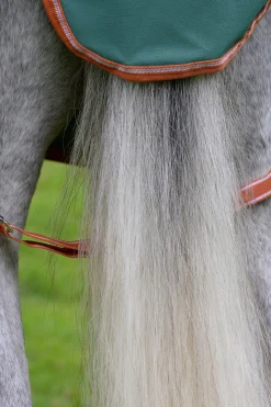 Comfitec Tyro Weidedecke mit integriertem Halsteil, 50g