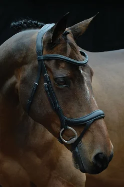 Comfitec Vogue anatomisch geformte Trense