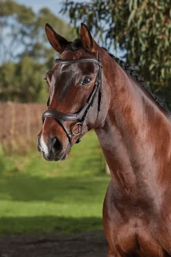 Comfitec Vogue anatomisch geformte Trense