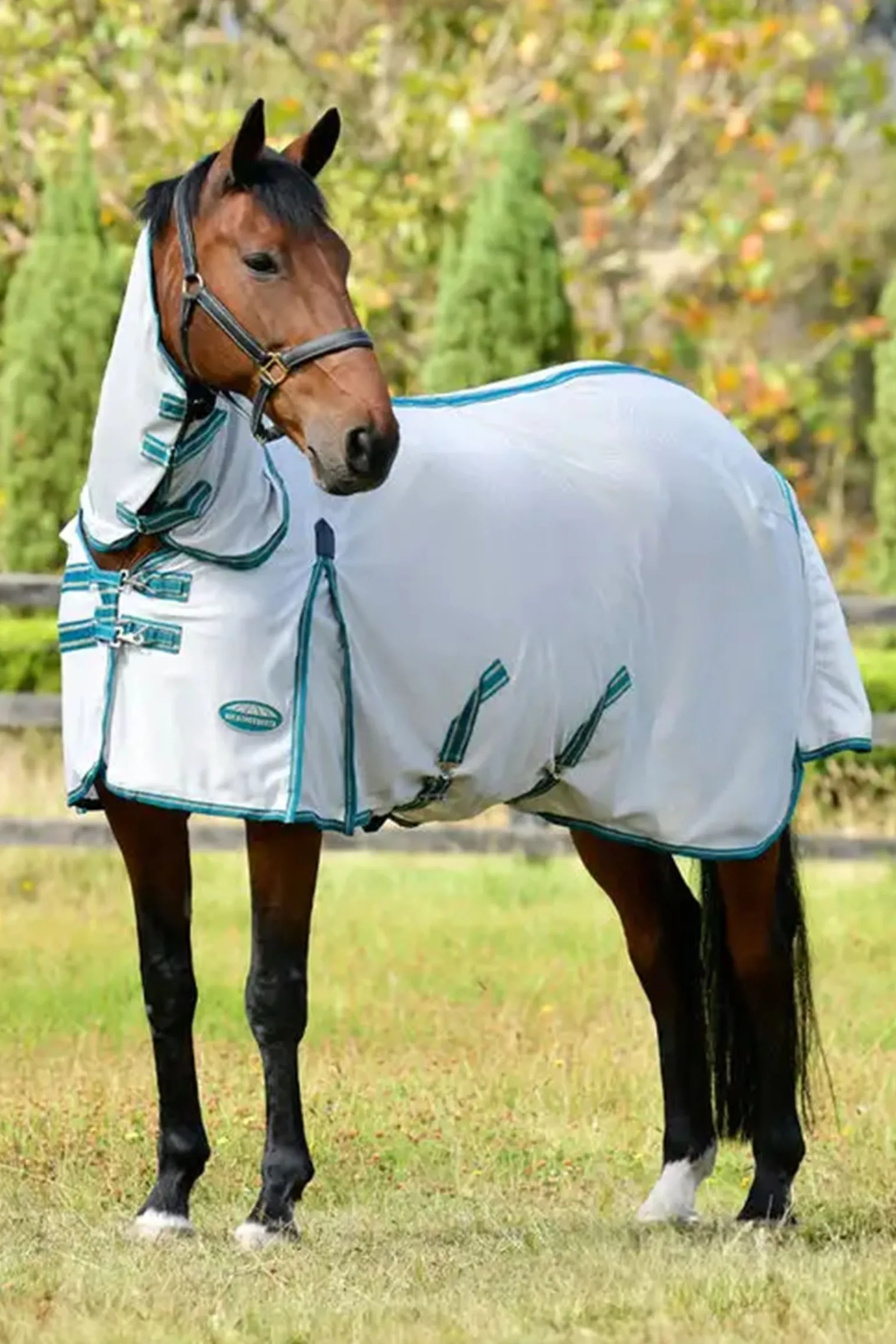 Comfitec Zephyr Plus Mesh Combo Fliegendecke