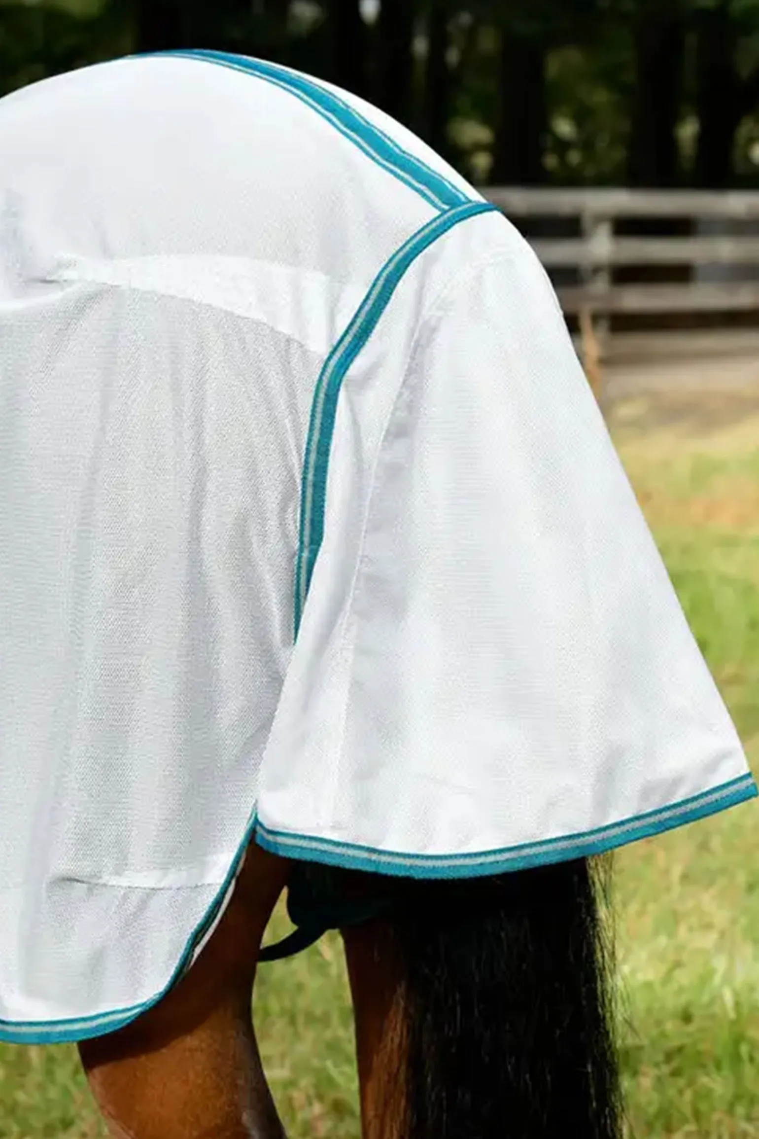 Comfitec Zephyr Plus Mesh Combo Fliegendecke