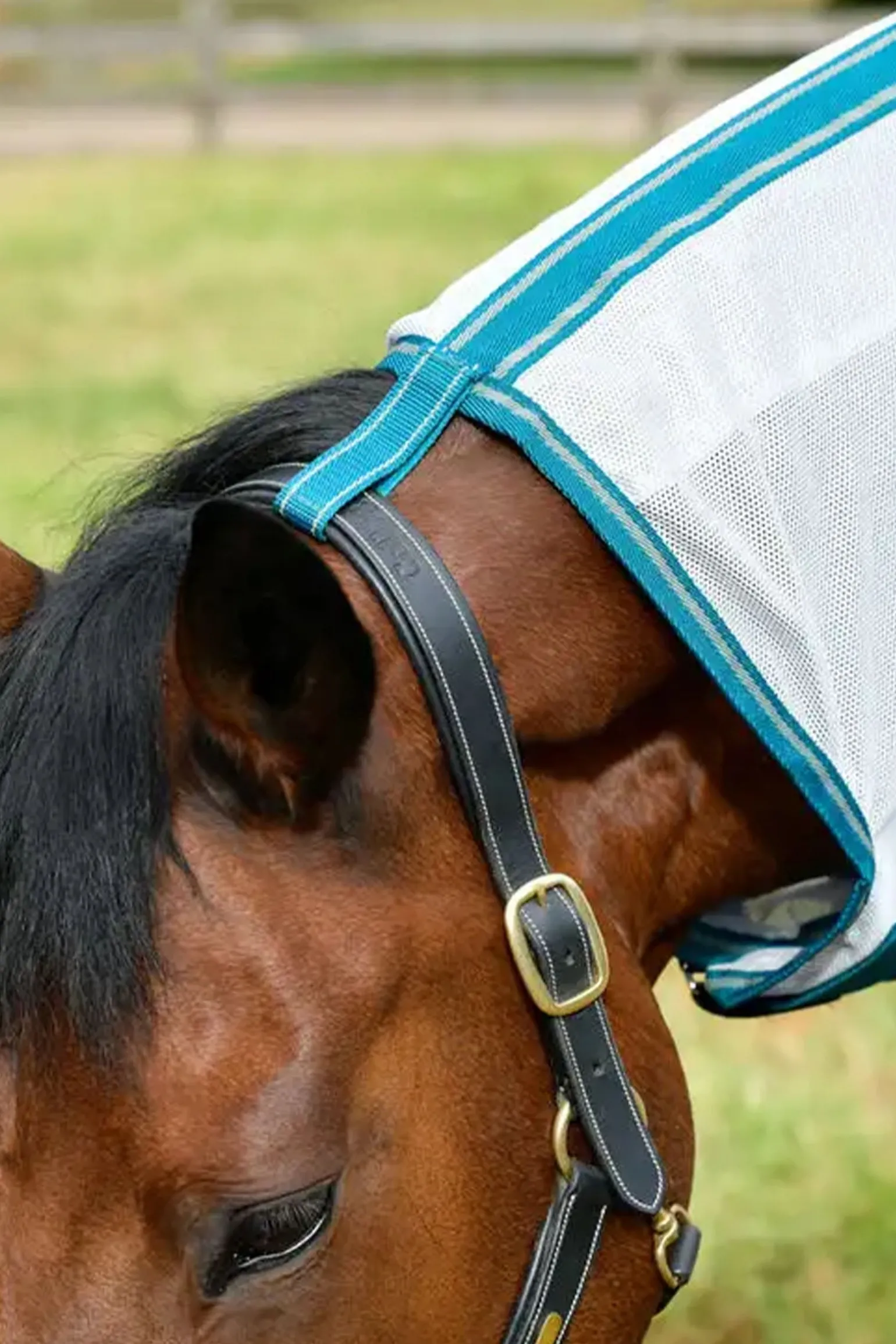 Comfitec Zephyr Plus Mesh Combo Fliegendecke