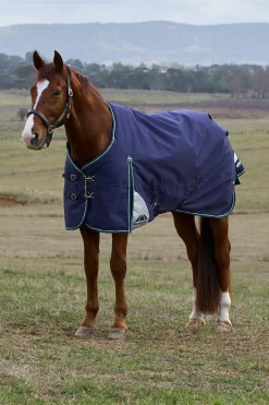 ComFiTecPlus Dynamic Turnout Detach-A-Neck 100G