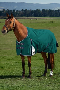 ComFiTecPlus Dynamic Turnout Detach-A-Neck 100G