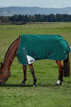 ComFiTecPlus Dynamic Turnout Detach-A-Neck 100G