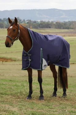 ComFiTecPlus Dynamic Turnout High Neck 100G