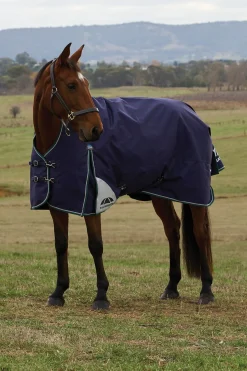 ComFiTecPlus Dynamic Turnout High Neck 100G