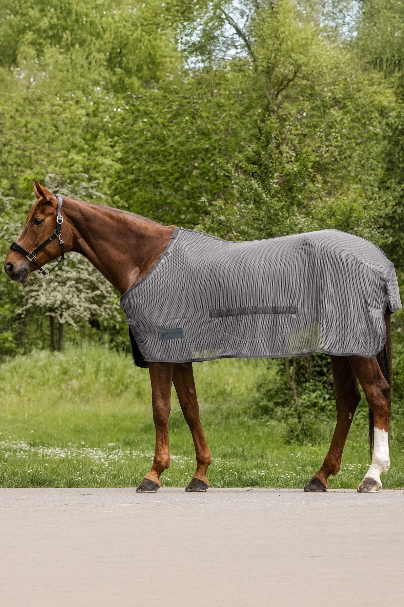 Comfort Fliegendecke mit Bauchlatz