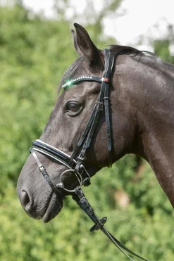 Comfort Paris Trensenzaum