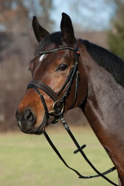 Comfort Paris Trensenzaum