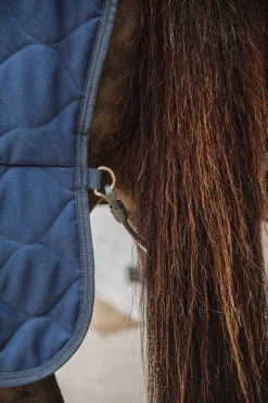 Comfort Stalldecke 100g